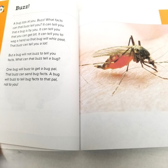 SRA FLEX Literacy Decodable Reader McGraw Hill Phonics Beginning Reading - Picture 5 of 10